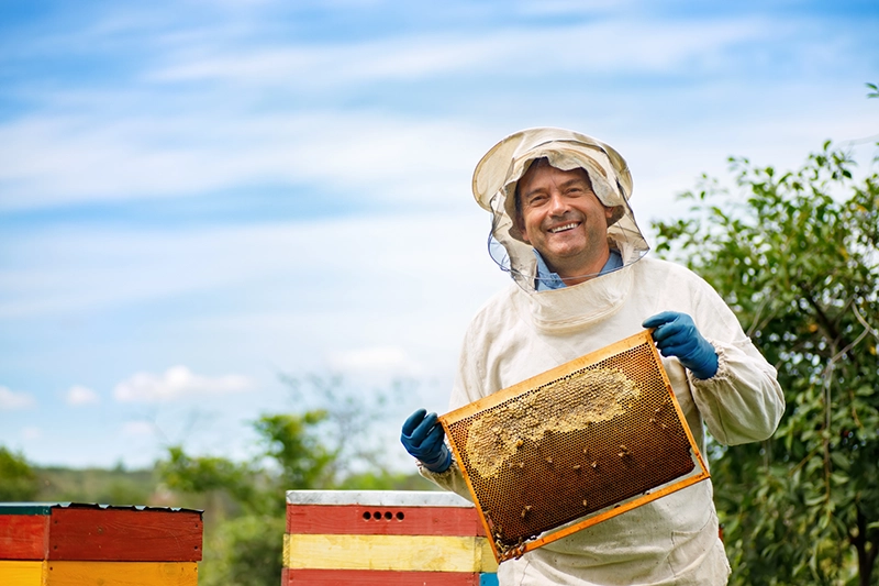 Ein Imker hält eine Bienenwabe.